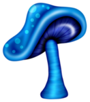 BlueMushroom Studios
