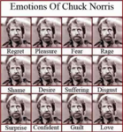 Chuck Norris's Joke Every Day