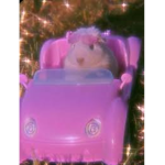 baddie squad Rats and rodents only