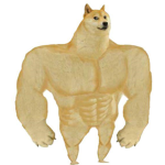 Doge armyyyyy