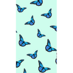 Butterflys Aesthetics