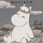 A e r i a l