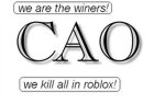 C.A.O