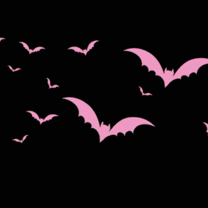 Black Emo Vampire Goth Bats Pink