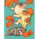Gecko squadron