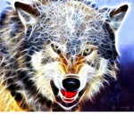 majestic wolves 03