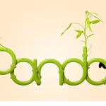 Panda Bandit