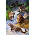 Felines Group