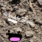 the buddy group.