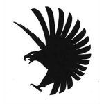 The Feathered Falcons