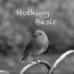 nothing basic