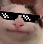 Beluga cat group!!!