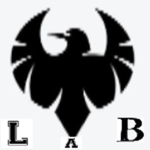 ravens labs