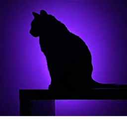 💜