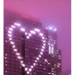 auromi«