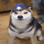 vug