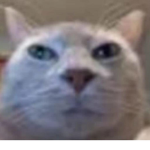 ThatMythicalGamer Offical Group