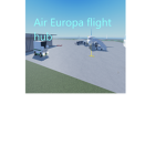 Air Europa flight group