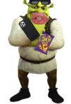 shrekisamazing!!