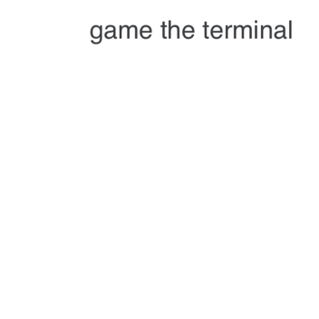 Game Terminal