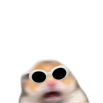 Shook~Hamster