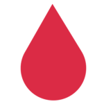 Bloody Ragdoll Studios