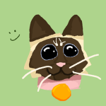 Siamese cat clothing