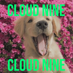 cloud-nine group