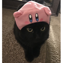 meow