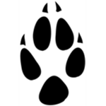 the wild paws donation support group