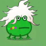frogs:the group