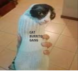 Cat Burrito Gang Game
