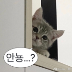 예쁘니 그룹