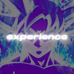 Experience - Group