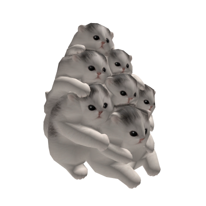 Cute baby fluffy cats 