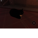 The Epik cat group