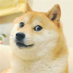 눈사람 그룹