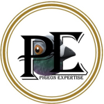 Pigeon Expertise