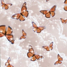 butterfly view RP
