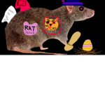 Official Rat Squad