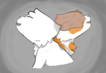 WC warrior cat fans