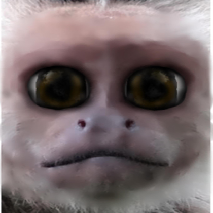 Midnight Winter Roblox music