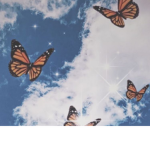 TheButterflyTwin's