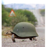 The Military Turtle Squad