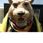 Tigers Go