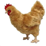 The Chicken Cult.exe