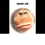 Turtle_Club