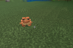 We like hamter :D