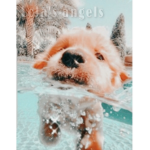 -Lola’s angels-