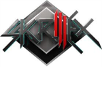 Skrillex  DjS